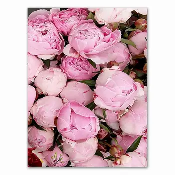 Rosa rosa de BRICOLAJE Pintura por Número de Flores Imagen pintada a mano Coloración de Base Cero de la Pintura Por Número De Adultos En Lienzo de Arte Suppli